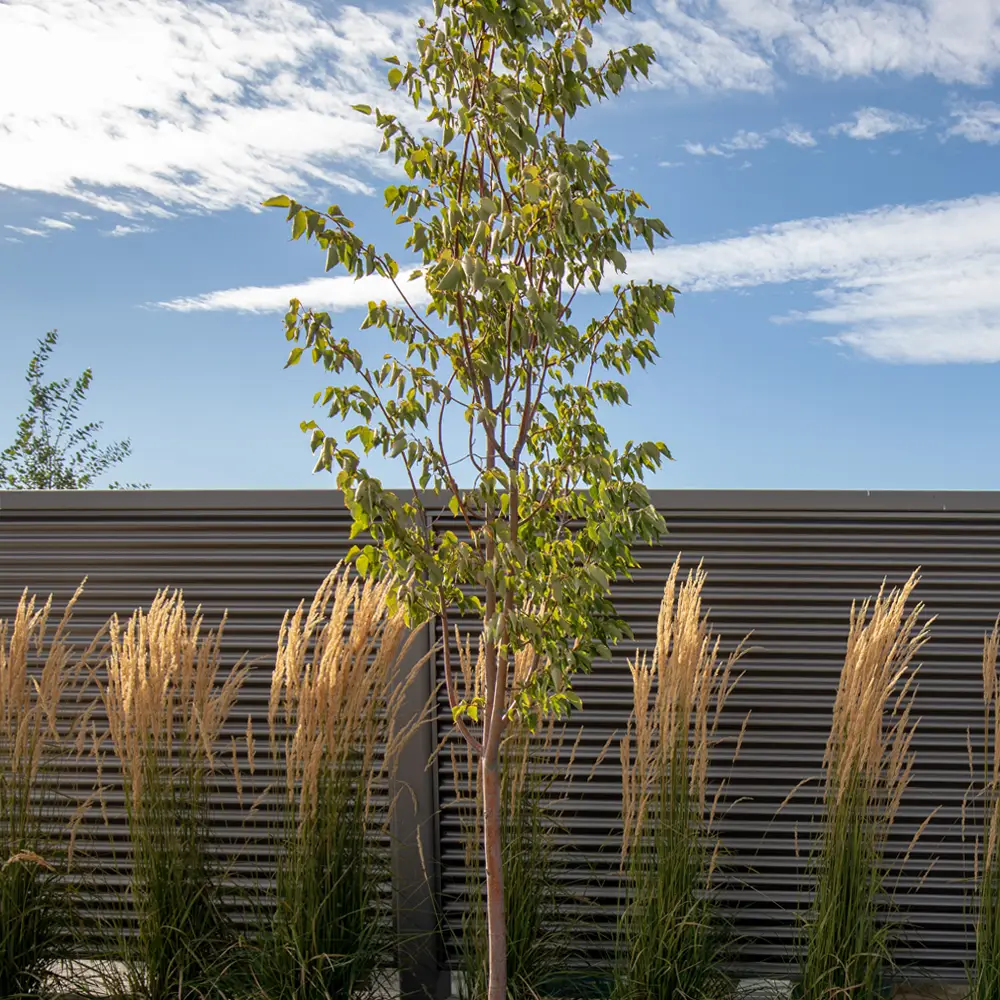 corrugated fencing